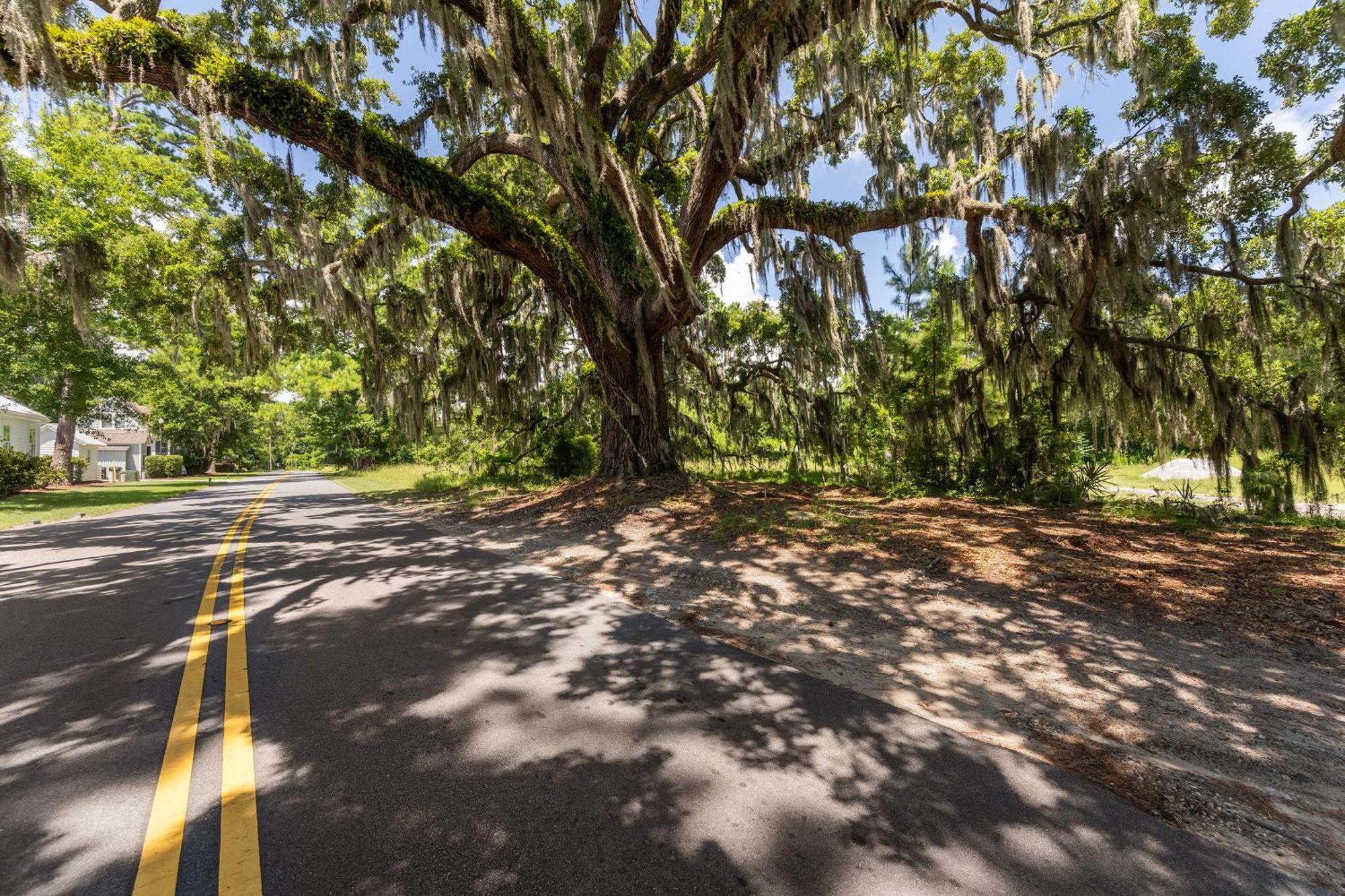 Low Country Cottage In Beautiful Habersham Бофорт Экстерьер фото